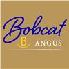 2026 Bobcat Angus