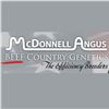 2026 Beef Country Genetics Sale