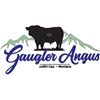 2026 Gaugler Angus Bull Sale