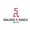 2027 Walking 5 Ranch Sale