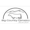 2026 Big Country Genetics Sale