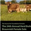 2026-24th Annual Herd Builder Sale