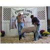 2010 Mid-West Elite Club Lamb Sale & Premier Boer Goat Sale