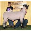 Triple Crown Club Lamb Sale 