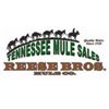 Tennessee Mule Sales - Reese Bros.