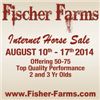 Fischer Farms Internet Horse Sale