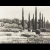 A Century of Fine Art Photographs 1840s-1940s