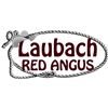 Laubach Red Angus Sale