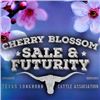 Cherry Blossom Sale