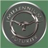 Millennium Futurity