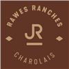 DEMO Rawes Ranches Charolais Bulls 2021