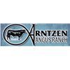 2022 Arntzen Angus Sale