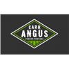 2022 Carr Angus