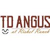 TD Angus Online Embryo Sale