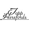 2023 Topp Herefords