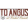 2023 TD Angus Sale