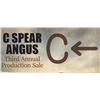 2023 C Spear Angus