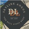 2024 Skyline Angus