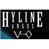 2024 Hyline Angus