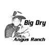 2024 Big Dry Angus