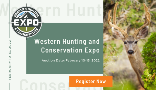 Online Hunting Auctions