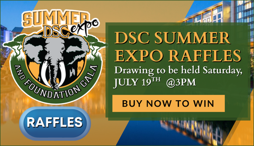 DSC 2025 Summer EXPO Raffles