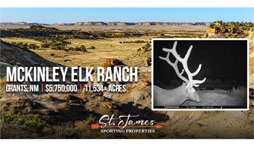 bit.ly/mckinleyelkranch-onlinehuntauctions-2025