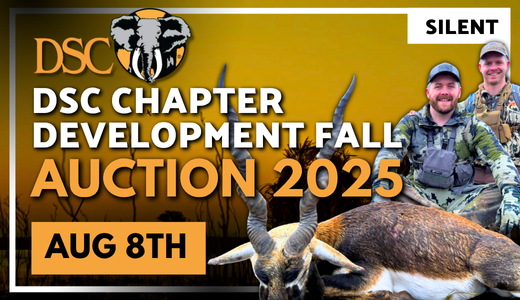DSC Chapter Development Fall Auction 2025