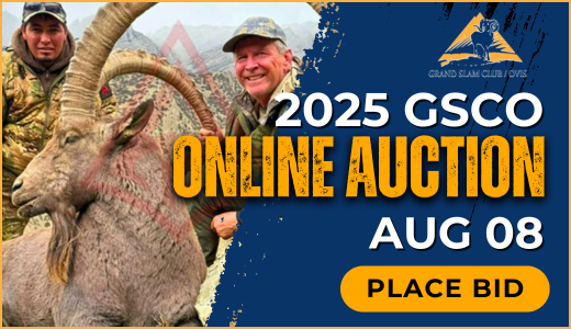 2025 GSCO Online Auction