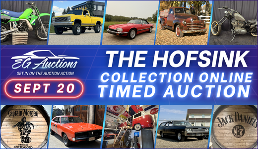 The Hofsink Collection Online Timed Auction