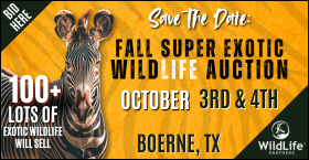 WildLife Partners Fall 2025 Super Exotic WildLife Auction