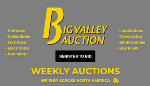 Big Valley Auction