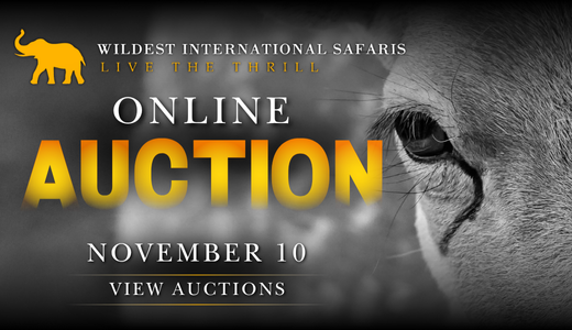 WILDEST INTERNATIONAL SAFARIS