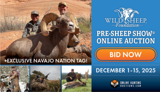 Pre-Convention Online Auction