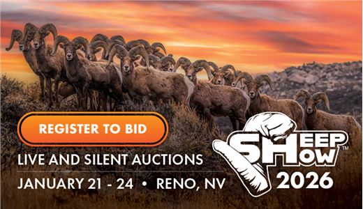 Wild Sheep Foundation