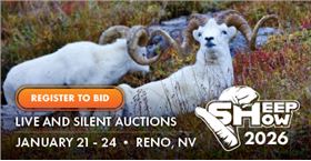 Wild Sheep Foundation