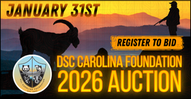 DSC Carolina Foundation 2026 Auction