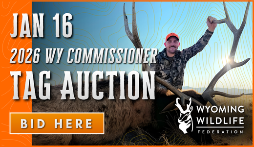 2026 WY Commissioner Tag Auction