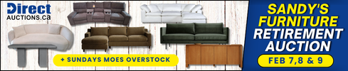 Sandy's Furniture Retirement Auction + Sundays Moes Overstock