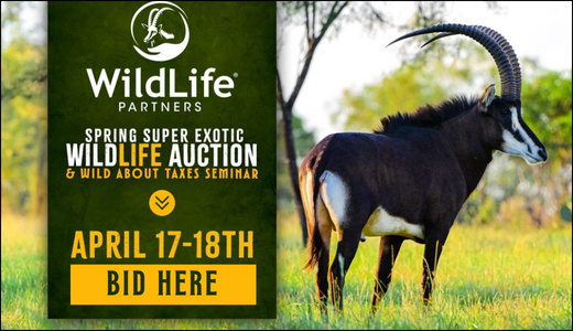 WildLife Partners Spring 2026 Super Exotic Wildlife Auction