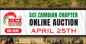SCI Zambian Chapter Auction