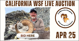 CA WSF 2026 Auction