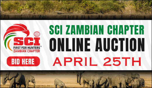 SCI Zambian Chapter Auction