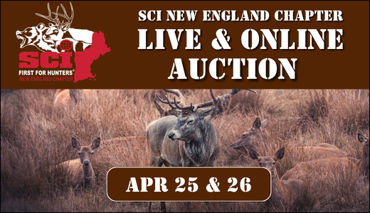 SCI New England Chapter 2026 Auction