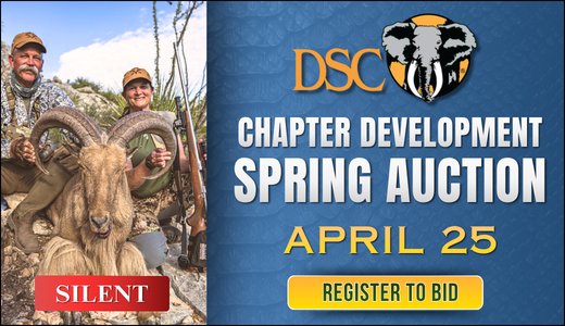 DSC Chapter Development Spring Auction 2026
