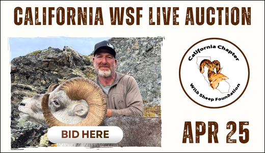 CA WSF 2026 Auction