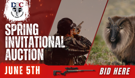 DSC Texas Gulf Coast Chapter - Spring Invitational Auction
