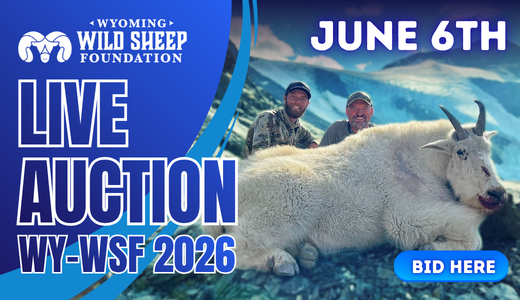 WY-WSF 2026