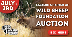 Eastern Chapter Wild Sheep Foundation Auction