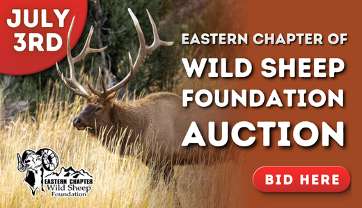 Eastern Chapter Wild Sheep Foundation Auction